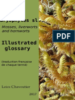 Illustrated Glossary Bryology Leica Chavoutier