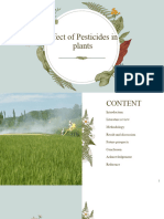 Effect of Pesticides in Plants