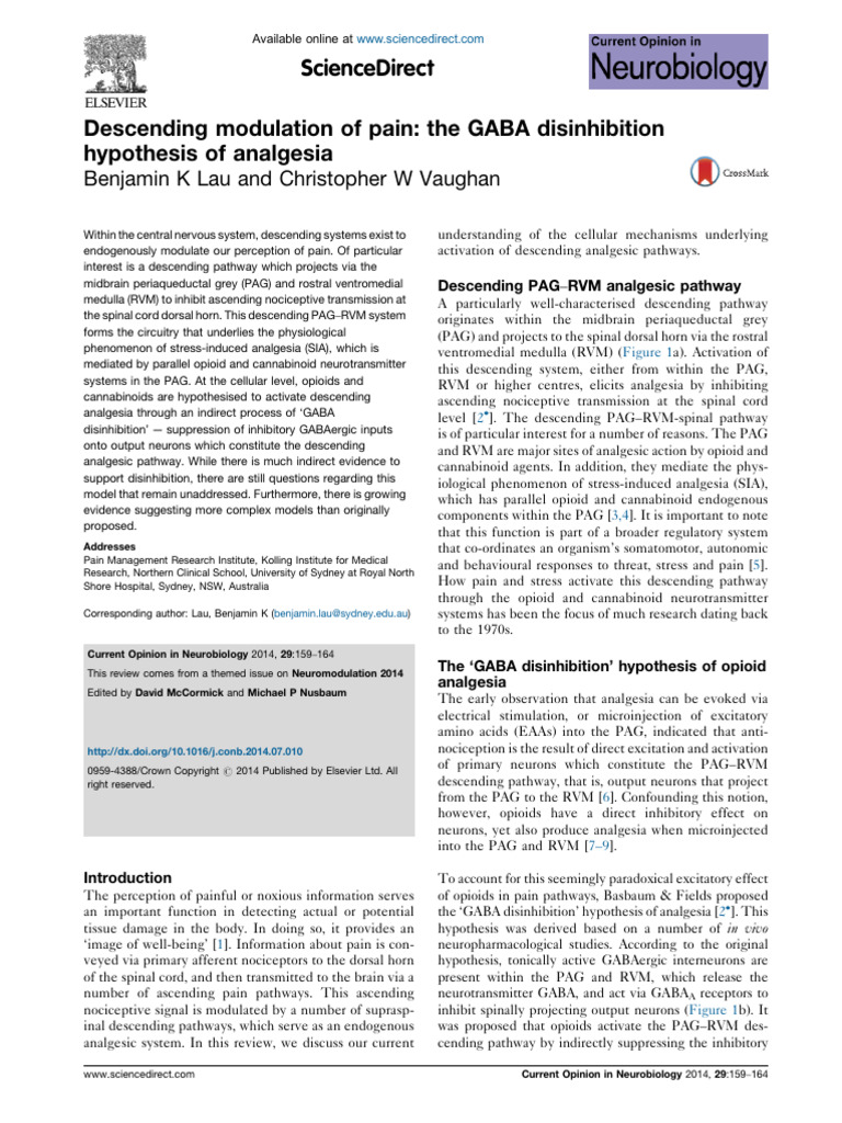Descending Modulation of Pain The GABA Disinhibition | PDF | Inhibitory ...