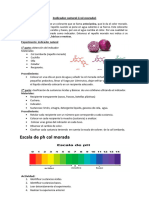 Experimento Acidez y Basicidad Col Morada