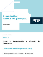 Tema 5_Metabolismo glucógeno