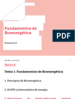 Tema 2 - Bioenergética - Parte3