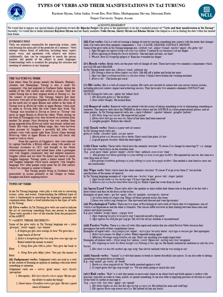 Tai Turung Verb Types Explained | PDF | Verb | Subject (Grammar)