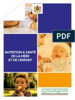 Brochure INDH SME VF