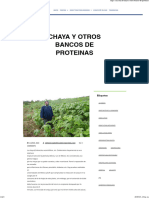 Chaya y Otros Bancos de Proteinas San