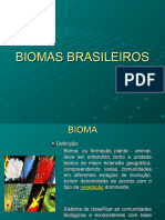 BIOMAS BRASILEIROS