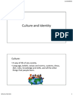 Introduction - Culture and Identity