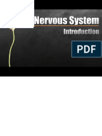 Nervous System