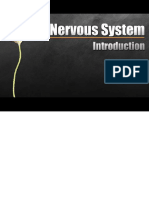 1.-nervous-system-ppt