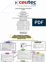 Mapa Conceptual