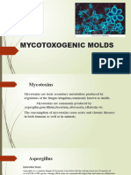 Mycotoxogenic Molds