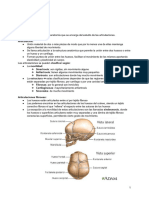 Unidad 3 ANATOMIA