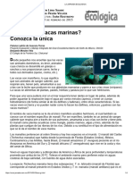 Manatí La Jornada Ecológica 3feb15