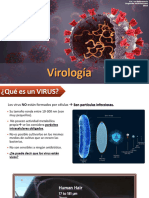 03 Clase 2 - Virología 2