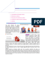  Fisiopatología Cardiovascular 