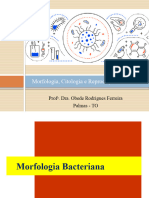 Aula 2. Morfologia, Metabolismo e Reprodução Bacteriana