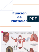 Sistema Digestivo - Función de Nutrición (Power)