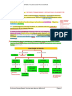 Función de Nutrición (Apunte)