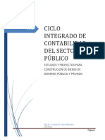 Guia de Ciclo Contable de Estudios y Proyectos de Dominio Publico y Privado