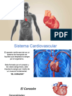 Cardiovascular (1)