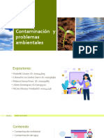 Contaminación y Problemas Ambientales - Presentacion Oficial