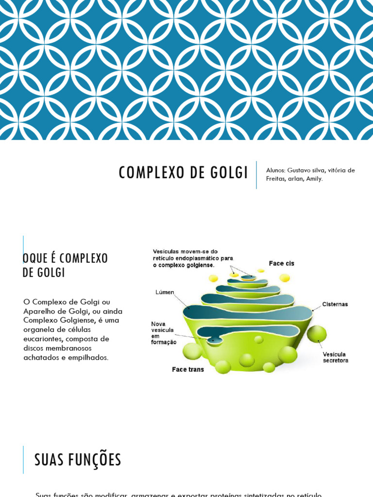 Funções e Doenças do Complexo de Golgi | PDF