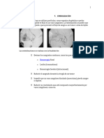 Radiología Intervencionista Trabajo 6 - VF