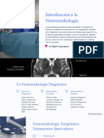Introduccion A La Neurorradiologia