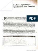 Cap 1- Introdução à Psicologia Organizacional e Do Trabalho COMPLETO