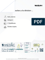 Tema-13-El-nucleo-y-la-division-... : Bach - Ciencias Biología II 2º Bachillerato Estudios España