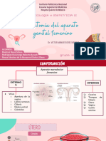 Anatomia Del Aparato Genital Femienino - PDF - 20240229 - 012301 - 0000