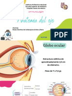 Anatomía ojo_20240304_130211_0000