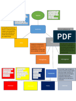 Mapa Conceptual