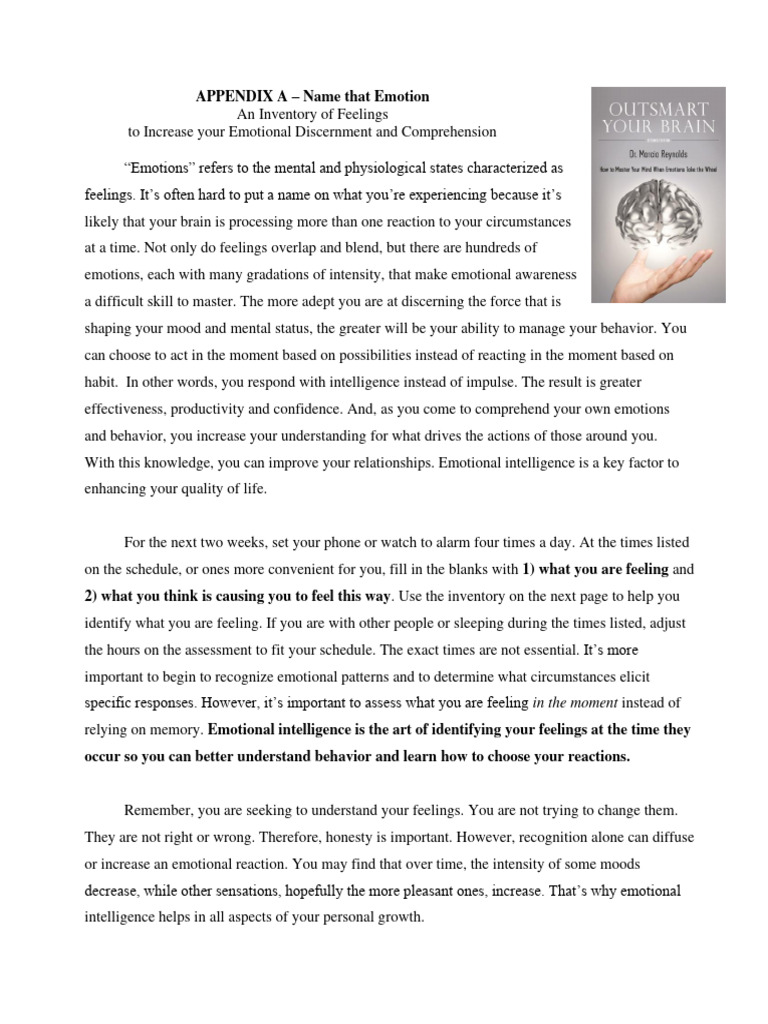 Emotional Awareness Inventory Guide | PDF | Emotions | Feeling