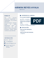 CV - Bernie Darwin Reyes Ayala