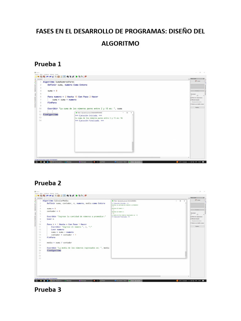 FASES EN EL DESARROLLO DE PROGRAMAS | PDF