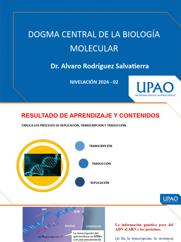 Sesión 4 - Dogma Central de La Biología Molecular | PDF | Codigo ...