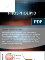 PHOSPHOLIPIDS