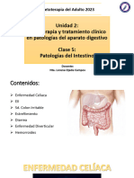 Clase 5 Patologías Intestinales