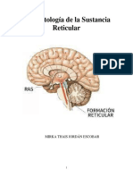 Formación Reticula