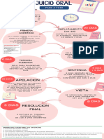 Esquema de Juicio Oral