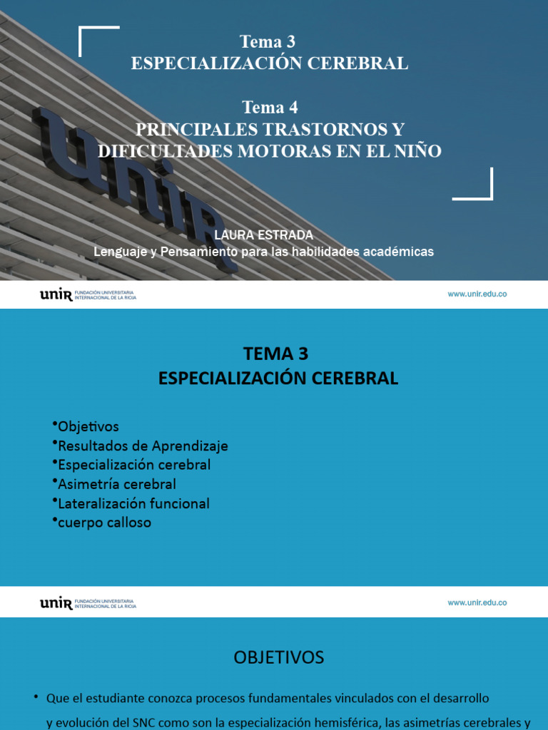 Tema 3 y 4 | PDF | Hemisferio cerebral | Cerebro