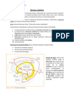 C11-Sistema Limbico