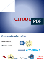 Citocinas-Interferon-Celulas NK