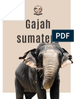 Gajah Sumatera - 20231017 - 194002 - 0000