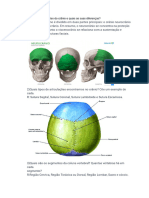 Ossos e Articulações Do Esqueleto Axial