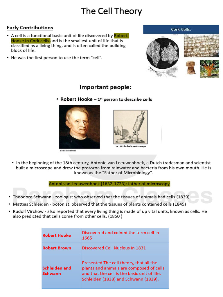 Cell Theory Pdf Cell Biology Eukaryotes
