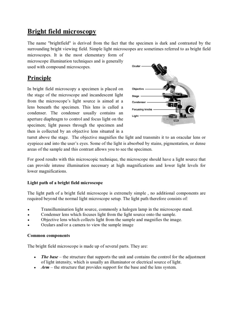 Data Processing and Analysis Guide | PDF | Science & Mathematics