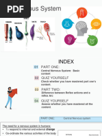 The Nervous System (Autosaved)