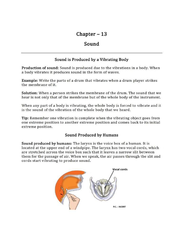 NCERT Class 8 Science Chapter CH 13 Sound Notes PDF Download | PDF